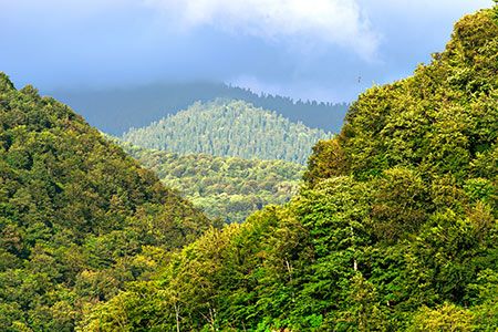 Interior announces over US$119 million to reclaim abandoned coal mines