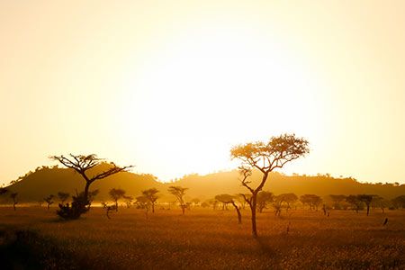 Tlou Energy confirms new prospecting licence area